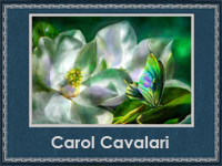 Carol Cavalari